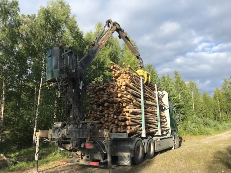 Långved på en Scania timmerbil